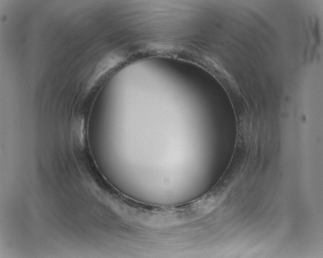 X0000062630024200512211241