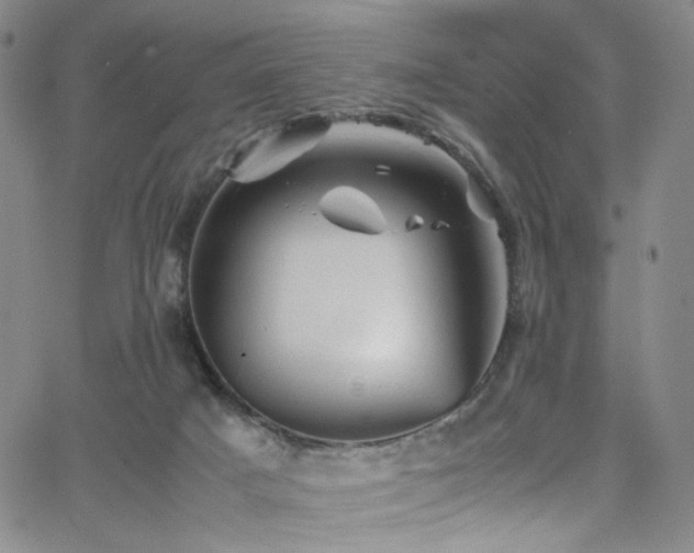 X0000062630025200512211241