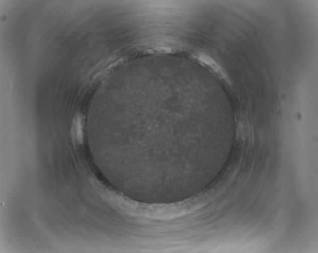 X0000062630026200512211241