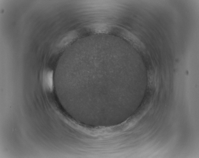 X0000062630028200512211241