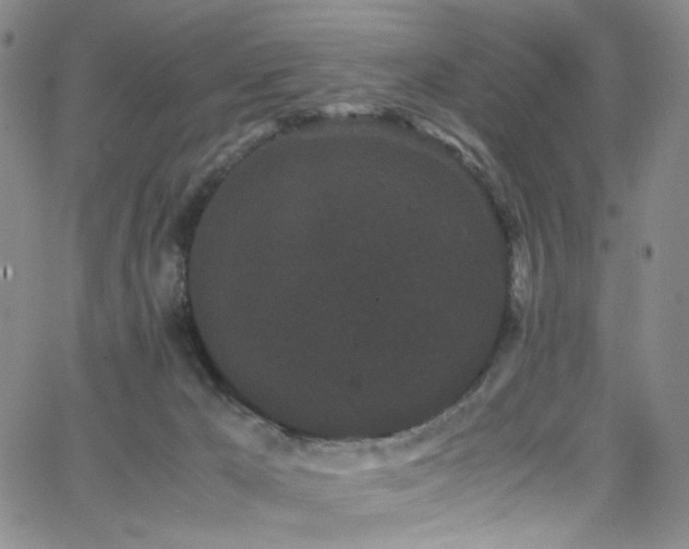 X0000062630029200512211241