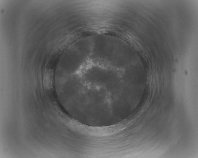 X0000062630030200512211240