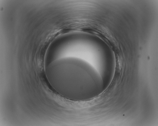 X0000062630031200512211240