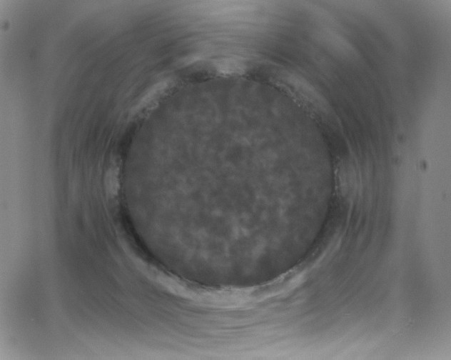 X0000062630032200512211240