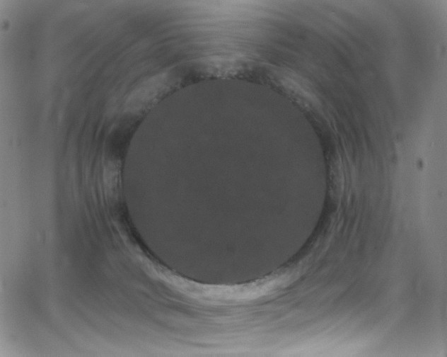 X0000062630034200512211240