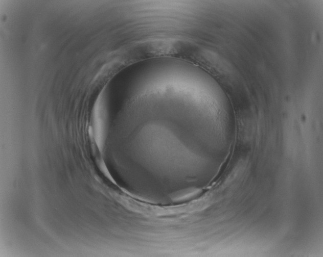 X0000062630035200512211240