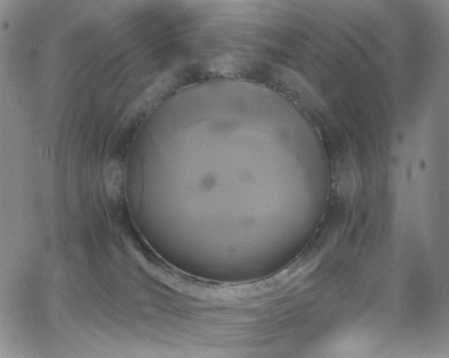 X0000062630036200512211240