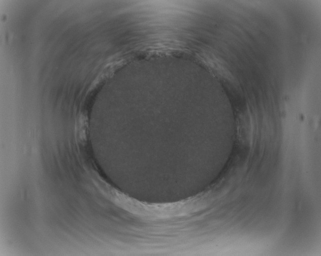 X0000062630038200512211240