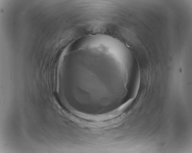 X0000062630039200512211240