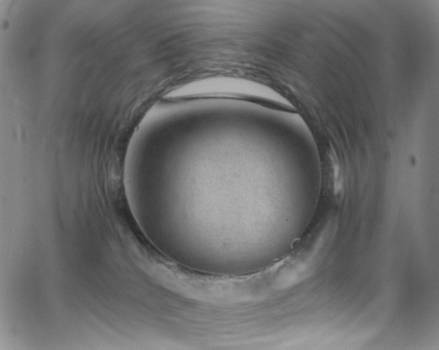 X0000062630040200512211240