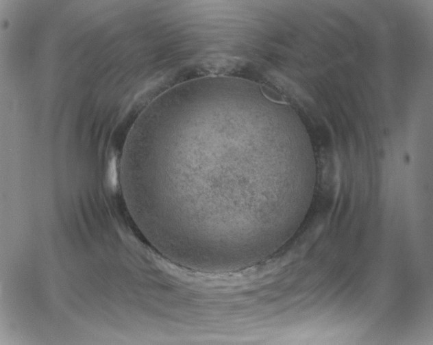 X0000062630042200512211240