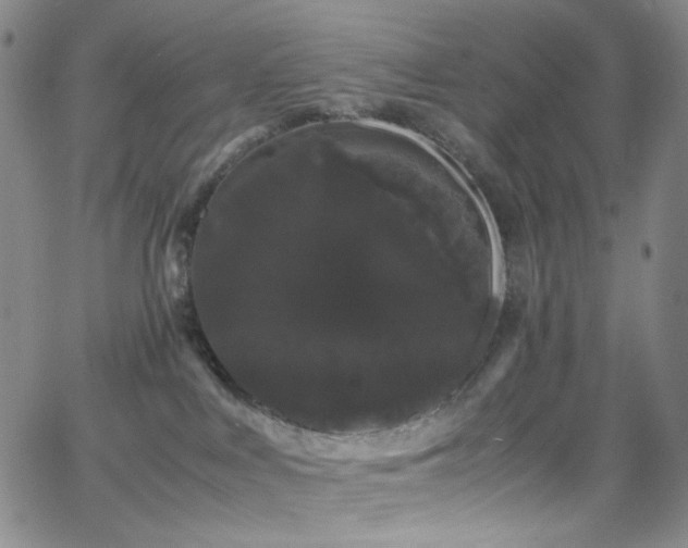 X0000062630043200512211240