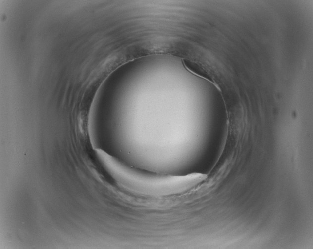 X0000062630044200512211240