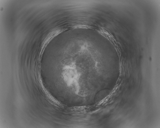 X0000062630049200512211239