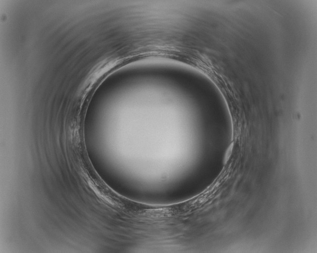 X0000062630050200512211239