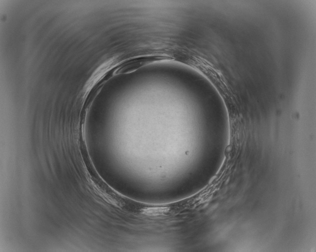 X0000062630051200512211239