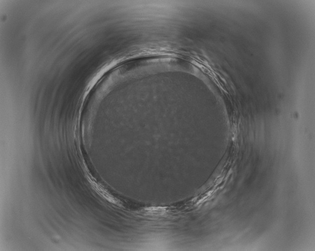 X0000062630052200512211239