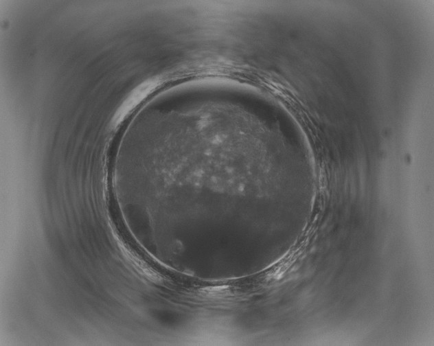 X0000062630054200512211239