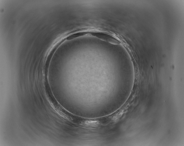 X0000062630055200512211239