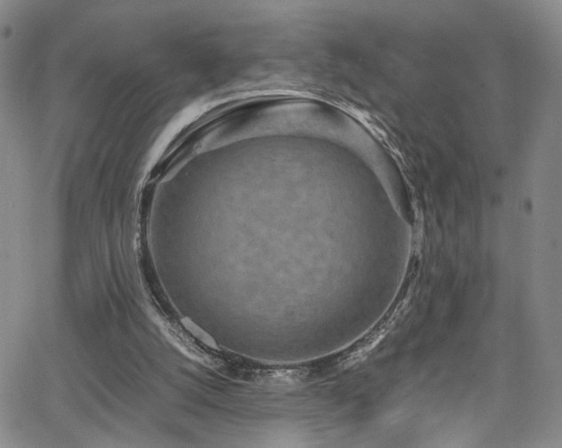 X0000062630056200512211239