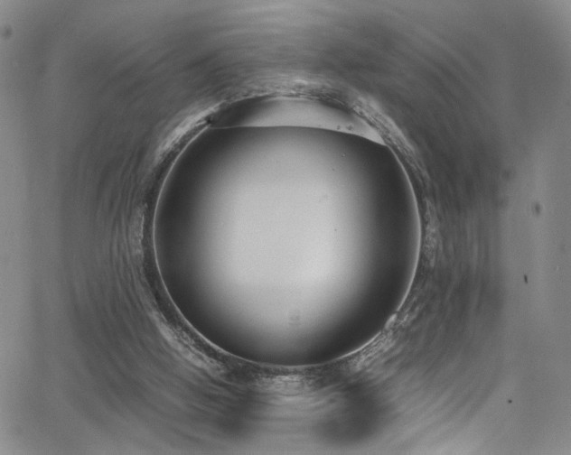 X0000062630058200512211240