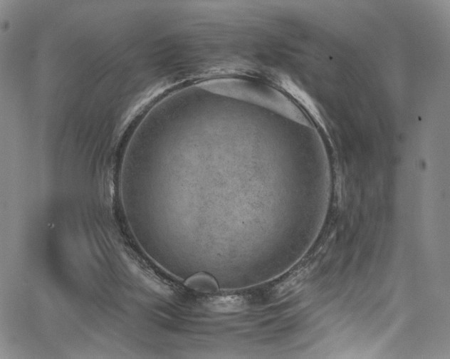 X0000062630059200512211240