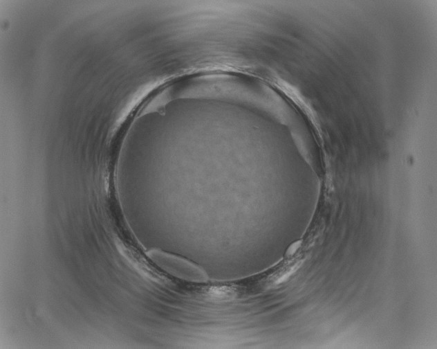 X0000062630060200512211240