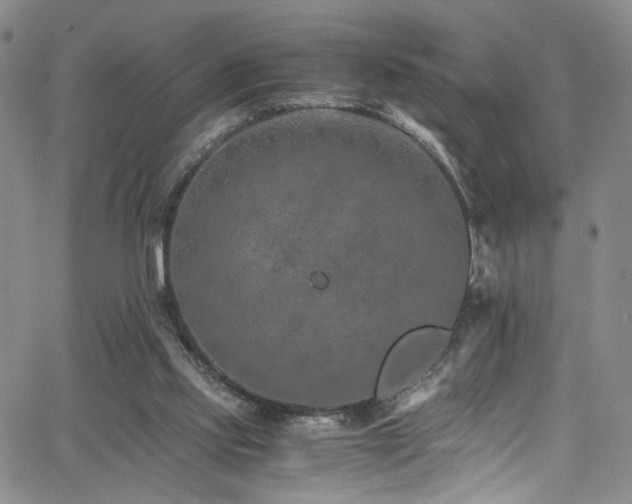 X0000062630061200512211240