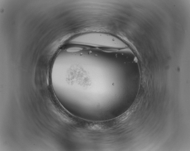 X0000062630062200512211240