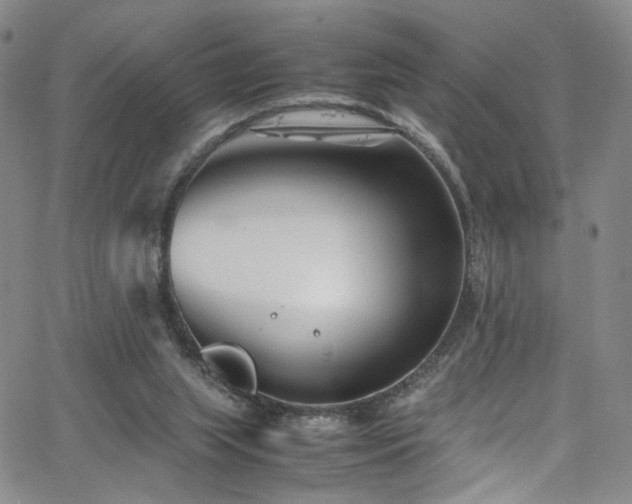 X0000062630063200512211240