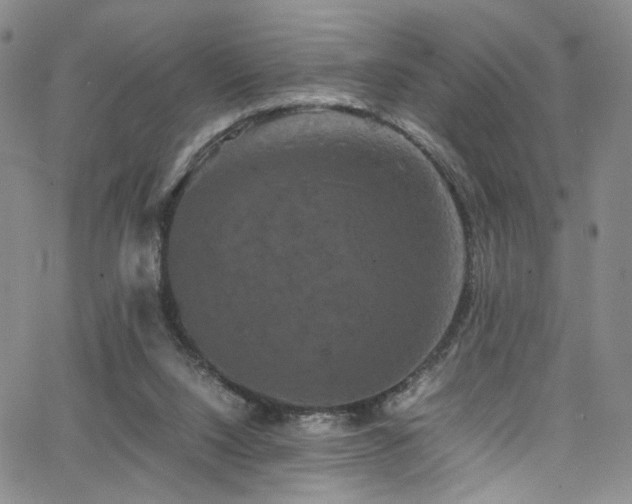 X0000062630064200512211240