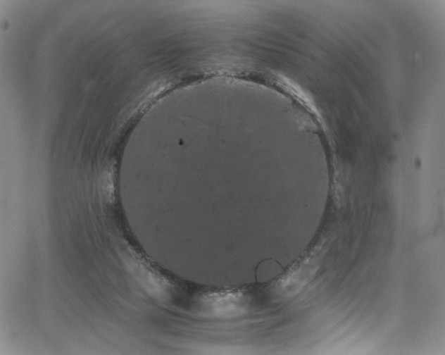 X0000062630065200512211240