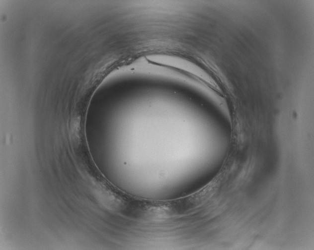 X0000062630066200512211240