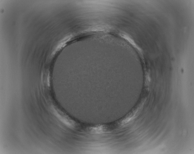 X0000062630068200512211240