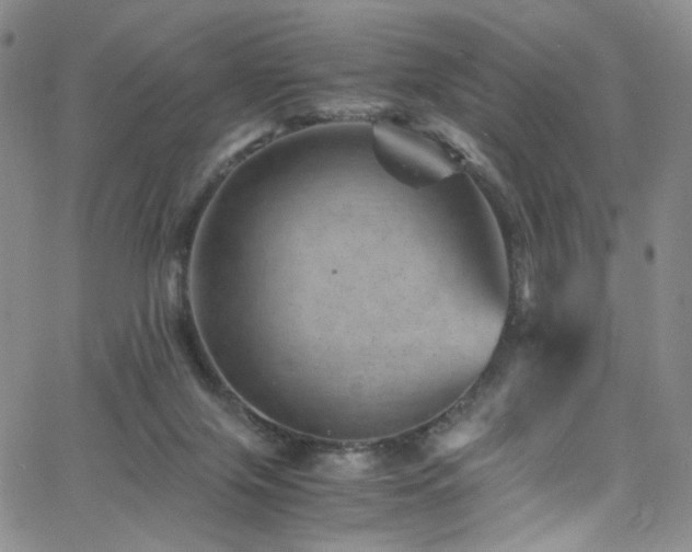 X0000062630071200512211240