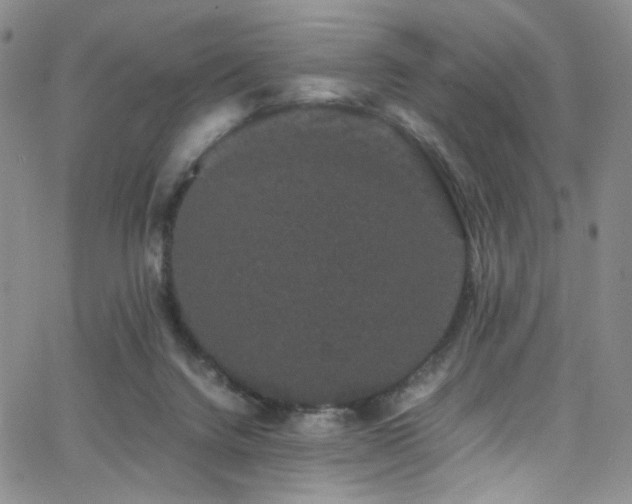 X0000062630072200512211240