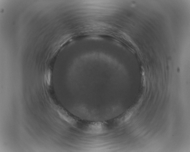 X0000062630076200512211240