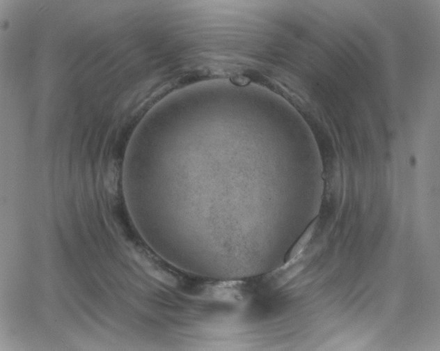 X0000062630078200512211240