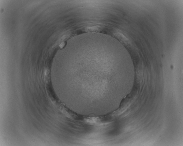 X0000062630079200512211240