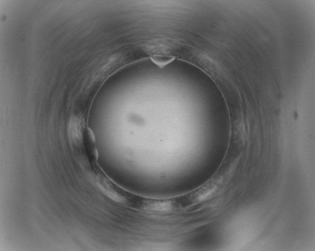 X0000062630081200512211240