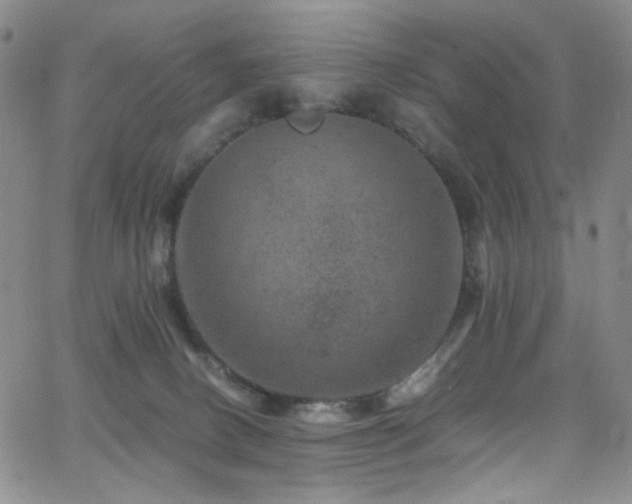 X0000062630082200512211240