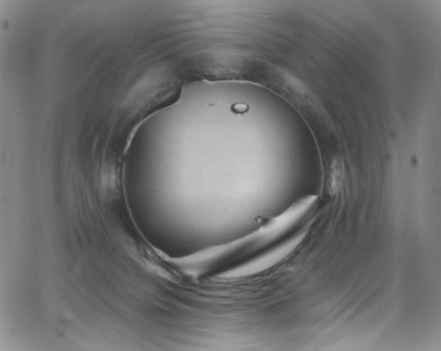 X0000062630084200512211240