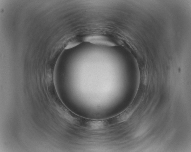 X0000062630085200512211240