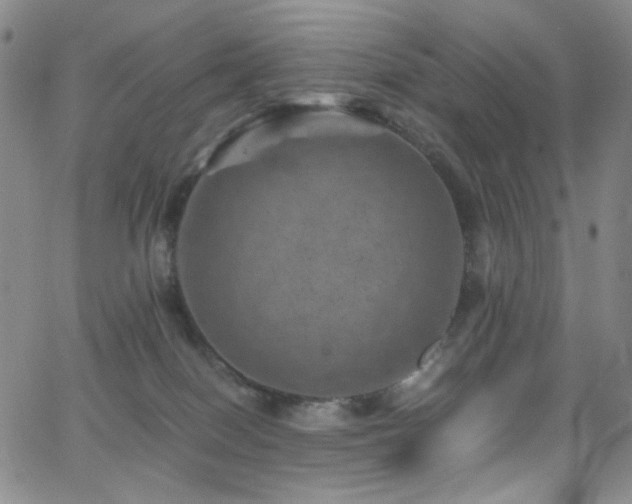 X0000062630086200512211240