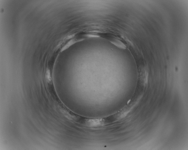 X0000062630089200512211240