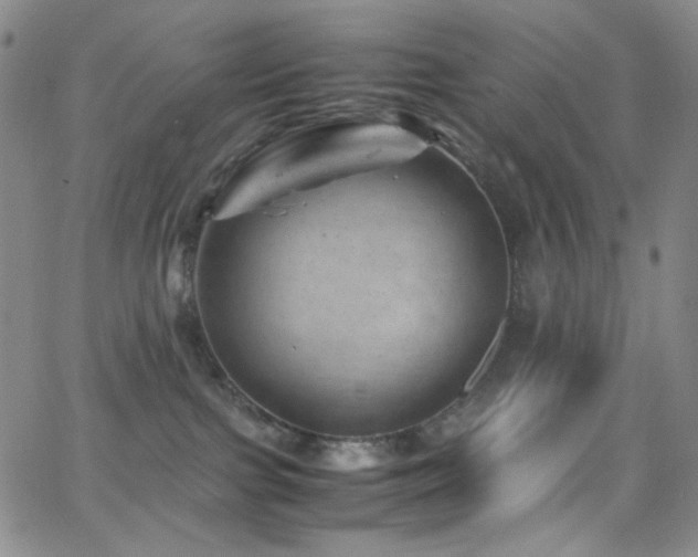 X0000062630091200512211240