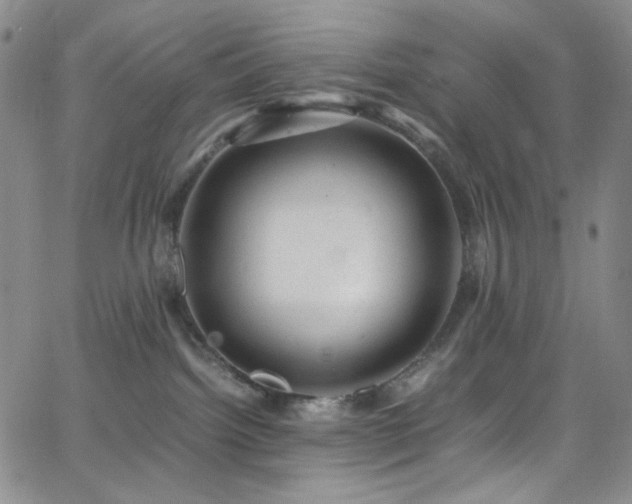 X0000062630092200512211240