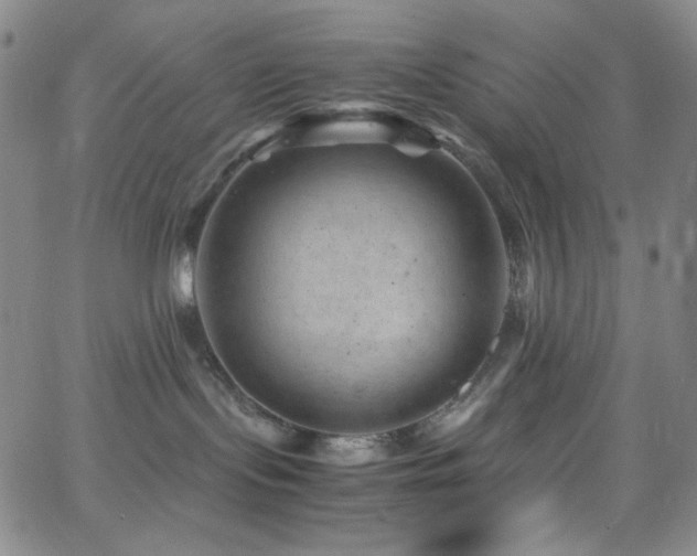 X0000062630095200512211240