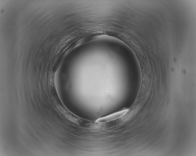 X0000062630096200512211240