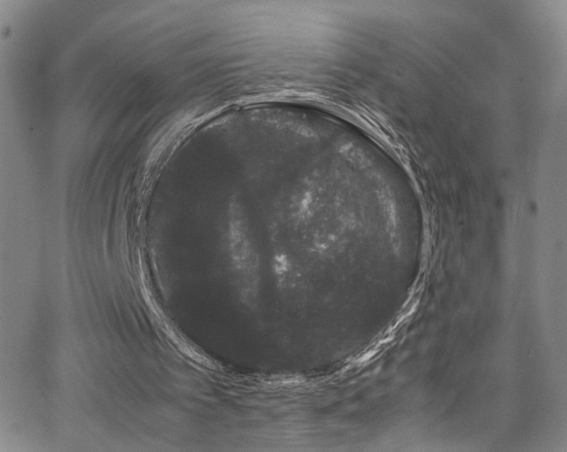 X0000062630097200512211239